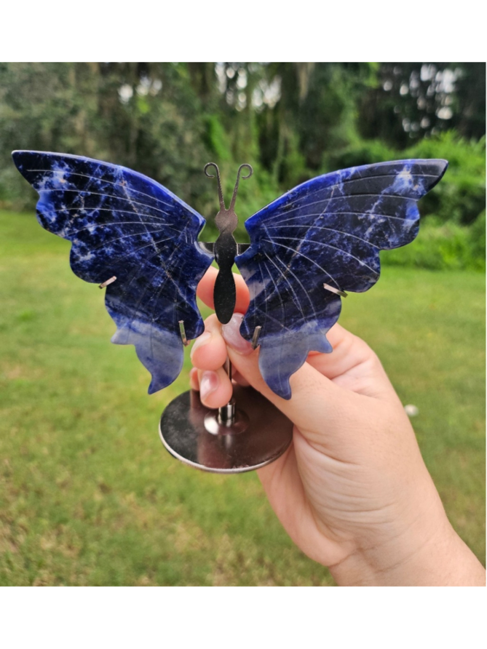 Sodalite butterfly on stand
